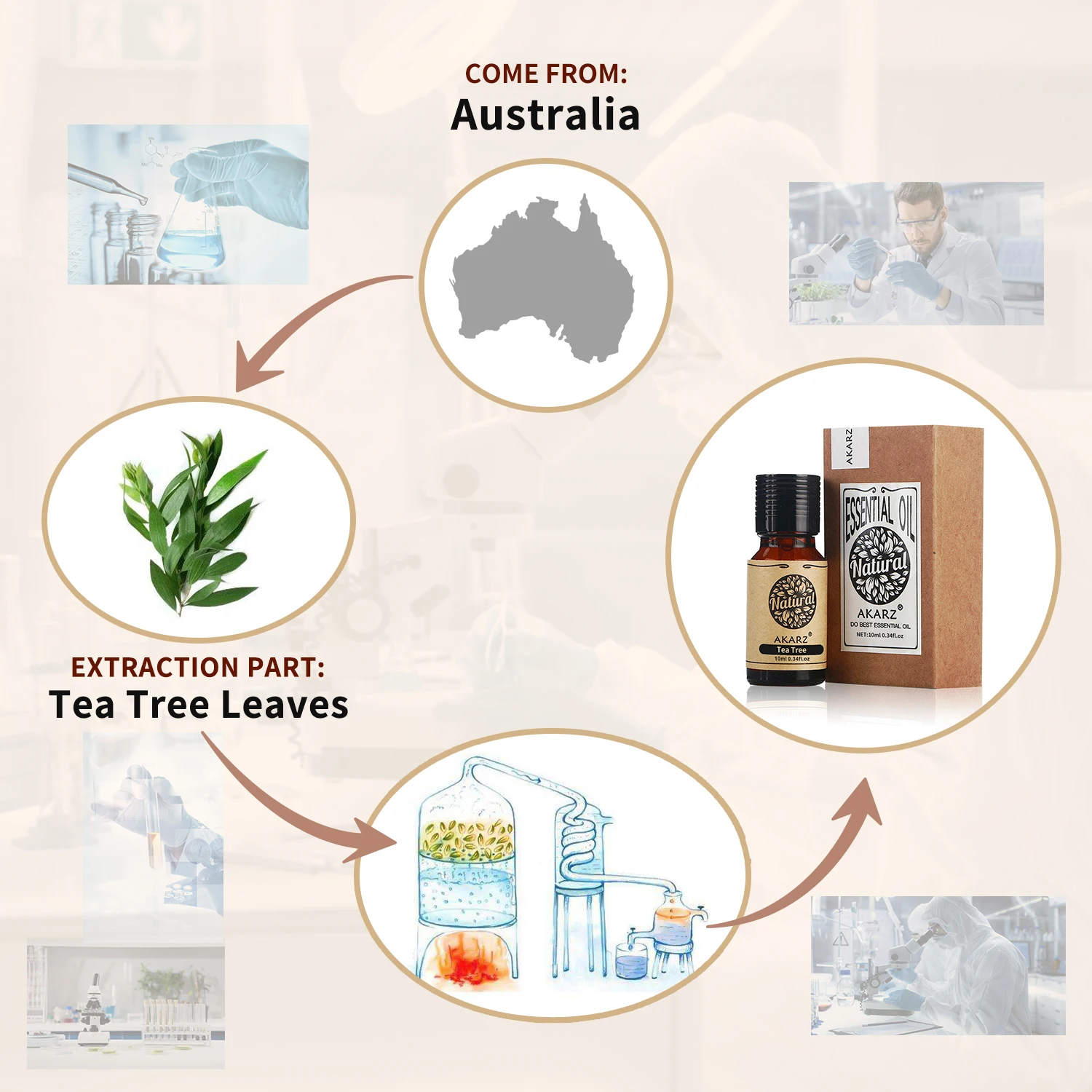 AKARZ Tea Tree น้ำมันหอมระเหยธ - Sandalwood Perfume Oil บทวิจารณ์และราคา