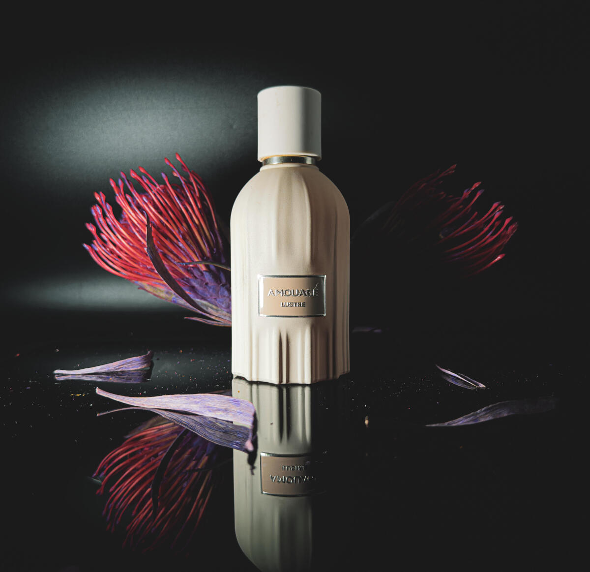 น้ำหอม Amouage Lustre 100 มล.  - Perfume Fragrance Families บทวิจารณ์และราคา