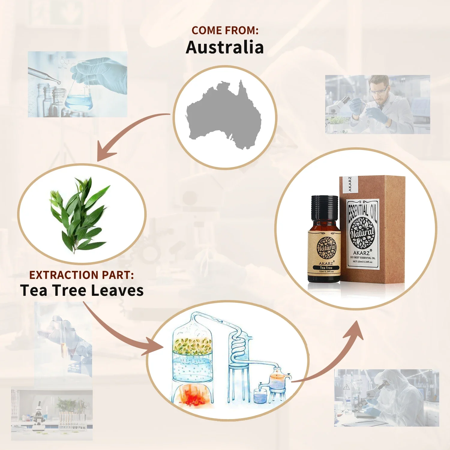 AKARZ น้ํามันหอมระเหยโรสแมรี่ธ - Sandalwood Perfume Oil บทวิจารณ์และราคา